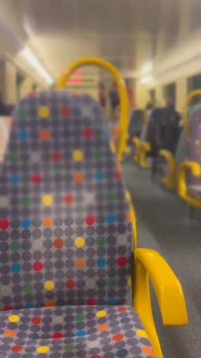 Quando um utilizador do r/portugueses viaja de comboio