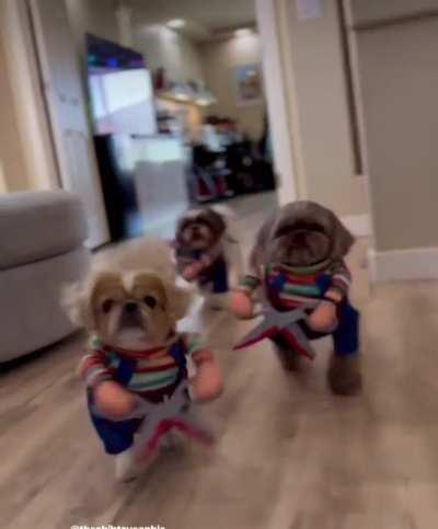 We’re gonna cut of your Johnson!