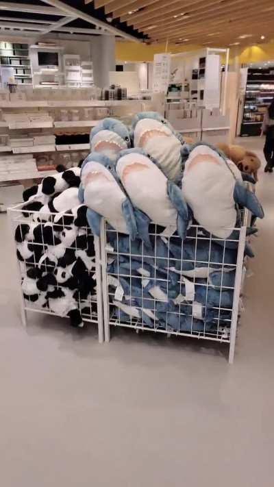 They need your help!