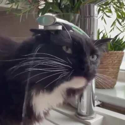 Trying to drink water