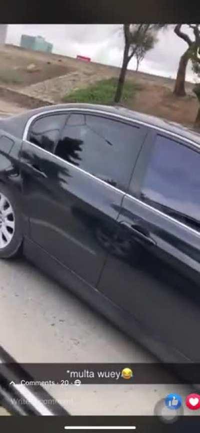 Видео с котом