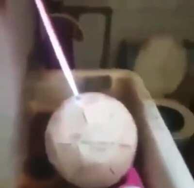 What did they think was going to happen