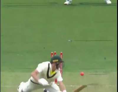 Me learning “How to bat” after YouTube removes dislikes