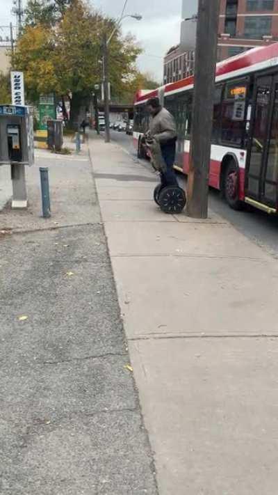 My raccoon people need me