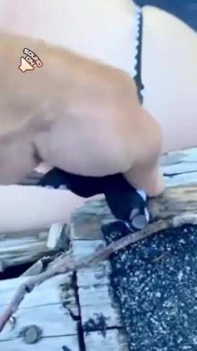 Look what I caught down at the docks