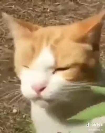 Here I'm with another russian video.