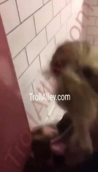 Girl fight ends in a vicious ass-kicking.