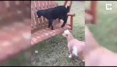 Dont worry she is fine