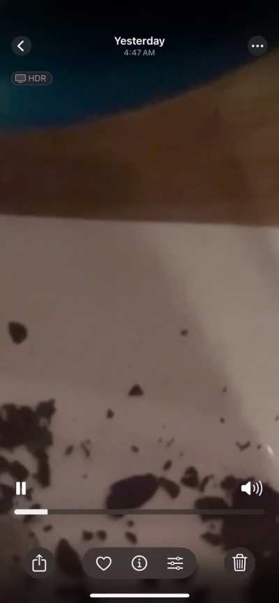 Look at this burn ash move in this sealed jar