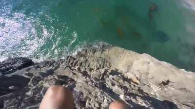 Let me jump off this cliff and attempt to hit the water
