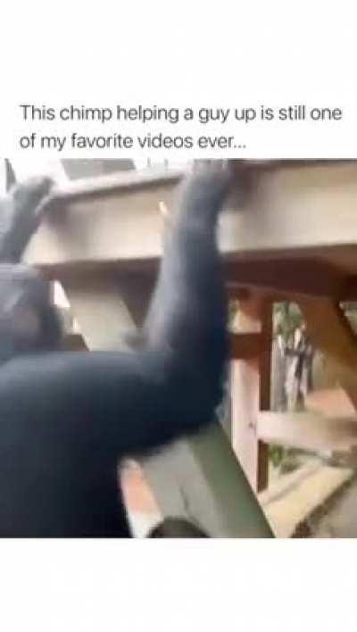 The fist bump at the end 😂