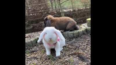 Cassiopeia and Romeo meeting for the first time. He kept trying to engage with her but she really said: 