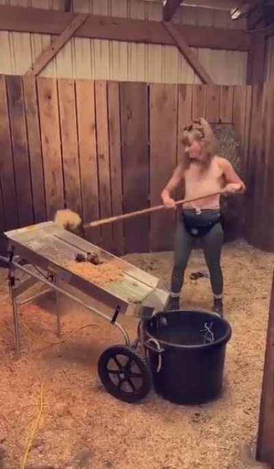 The “Shaker” my sister just got at work is used to separate the manure from saw dust when cleaning stalls.