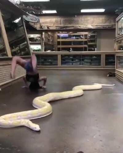 That anaconda don’t want none.