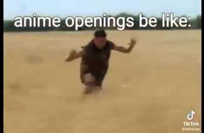 name a anime like this