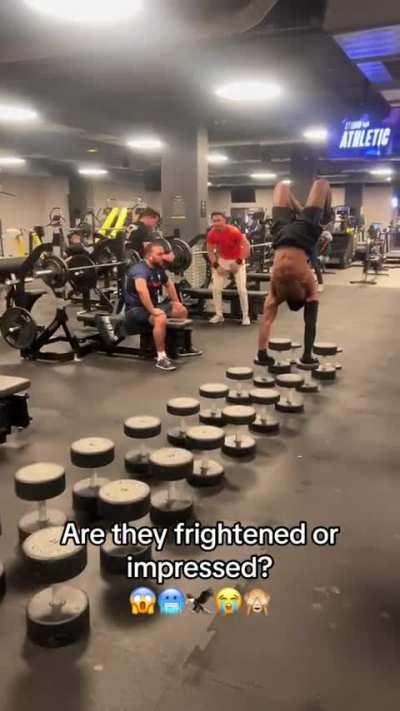 Look at me everyone! Look at me!