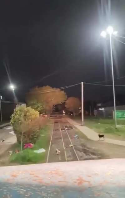 Tren de cargas que cruza CABA, a través del puente Barraca Peña, para ingresar a la Provincia Buenos Aires, por Villa Tranquila, hasta llegar a la playa de cargas de Ferrosur Roca