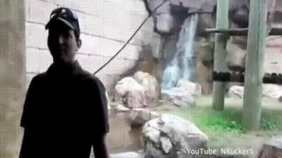 Monkey aims for the neck, probably breaks its nose