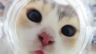 POV: You're Underwater Inside A Drinking Glass