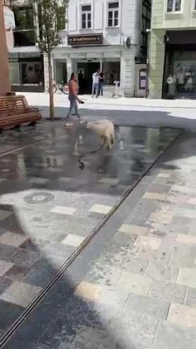 The best part of the walk