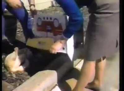 Classic: Pinky the Cat