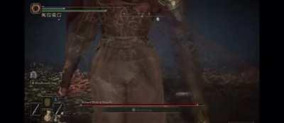 I lost the fight but won a little peek