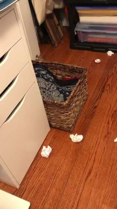 criminal terrorizing the office