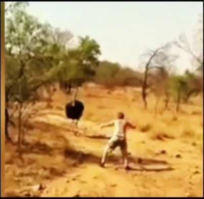 People being not so good to animals til they get karma