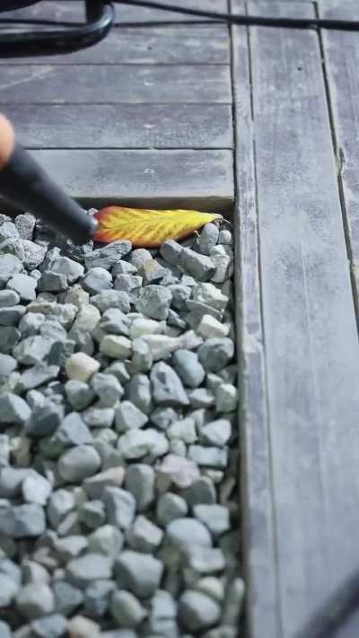 She tried her best and that's what counts