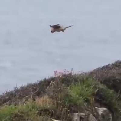 Government drone stuck at world border on the edge of the flat earth...