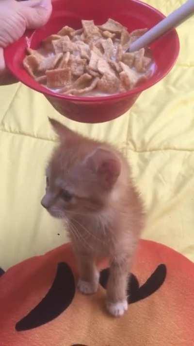 She insists that I got this cereal for *her*