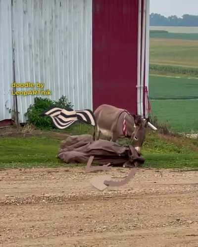 How Online Dating Goes