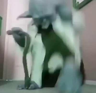 Just wanted to share this