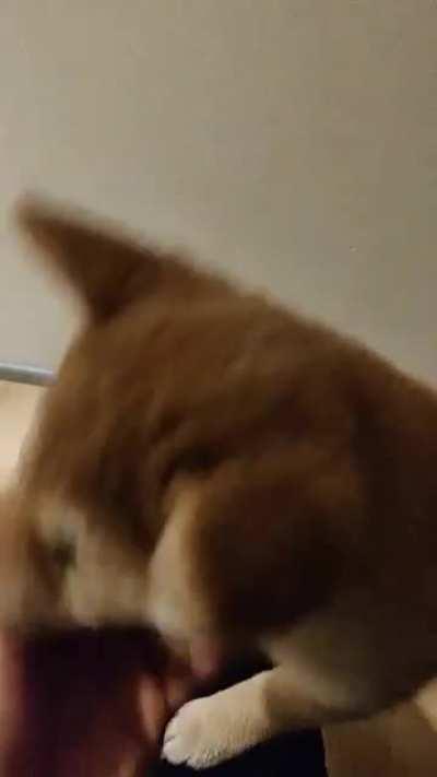 I had only been gone for 20 minutes...