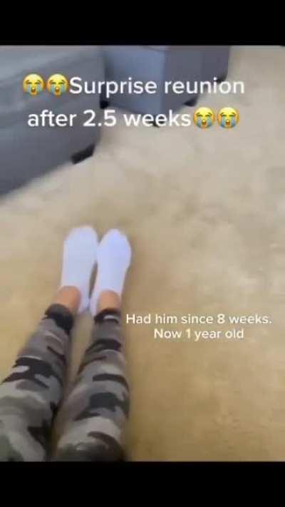 Whеre hаve yоu bееn ?