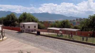 Scientists recently discovered new species of bird in Horizon Mexico 