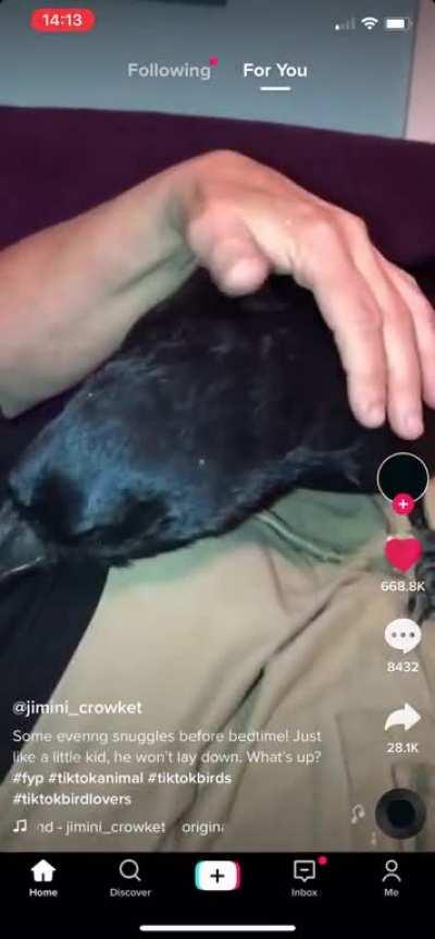 A drone practicing its new software update American Greetings 4.0