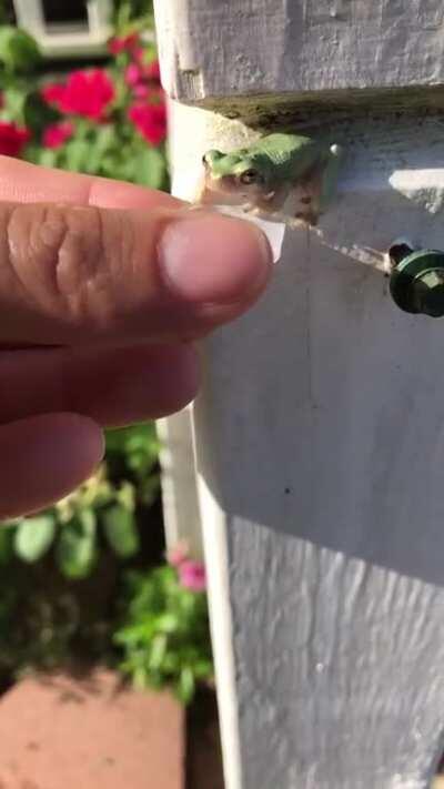 Little homie goin full in for some ice cold refreshments