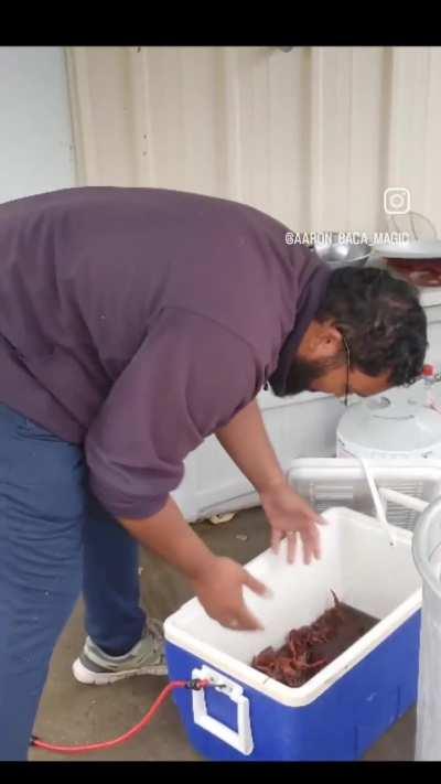 Guy told him crawfish didn't bite him and the other guy fucked around and found out