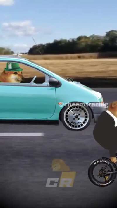 Twingo's adventures in Germany