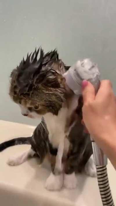 Oh, no... someone doesn't like a bath.