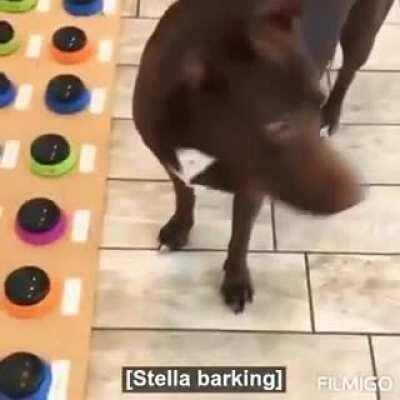 The ending, what did she hear?