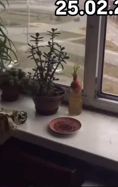 Rare video filmed on the second day of Russia's invasion into Ukraine.