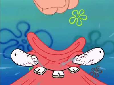 The random stuff in my camera roll