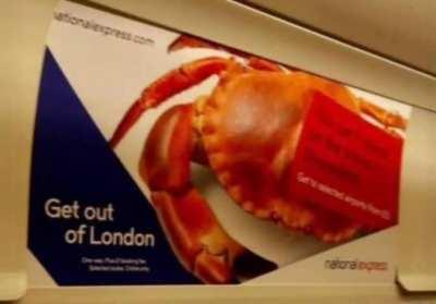 There is only one stage and it is crab