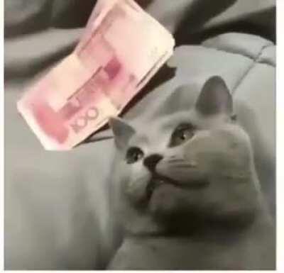 I think you ll understand this one.