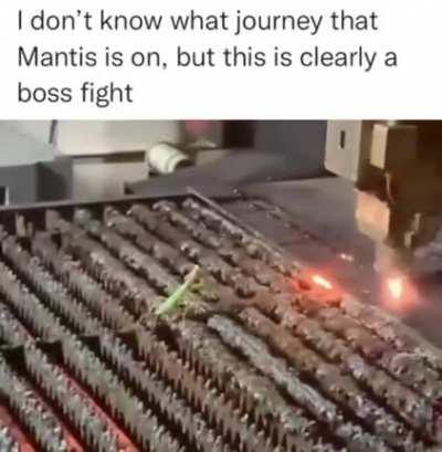 Dodger the Mantis vs Spark Slayer the Metal worker