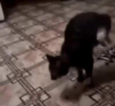 after finishing the second sister, it hears a stifled cry in the closet