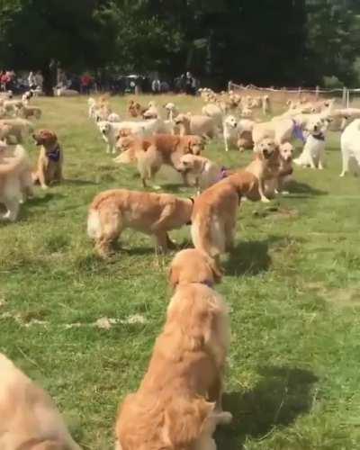 Guess this is what heaven looks like