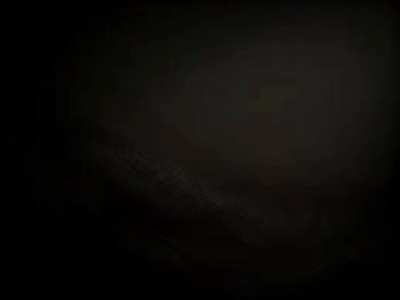 338 (ACCOMPANIMENT ONLY)